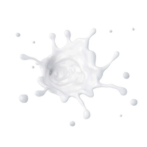 <p><strong>Cow milk </strong><em>(Godugdha)</em></p> Ingredient Image