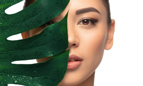 Hydrating Skincare Products for the Winter Season